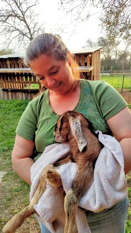 2017 Snuck Right Up on Me! 4 - Bearded Lady Soap Factory Laura with baby goat - Bearded Lady Soap Factory