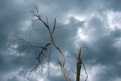 dark clouds weather - Bearded Lady Soap Factory