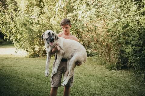 Reina, Our Great Pyrenees mix and the Bearded Lady Soap Factory Goat Guardian 3 - Bearded Lady Soap Factory Jason holding Reina - Bearded Lady Soap Factory